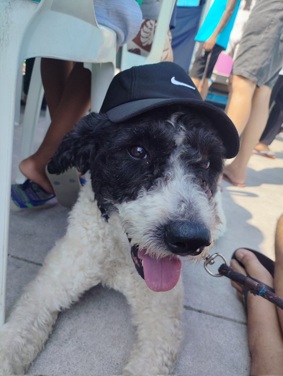 Nação Marvel tweet media