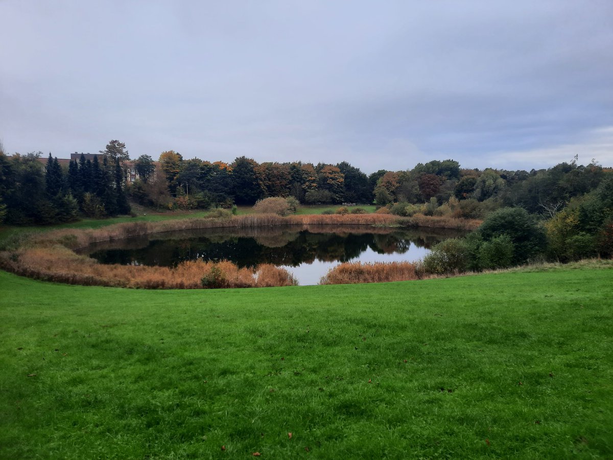 The park was nice today