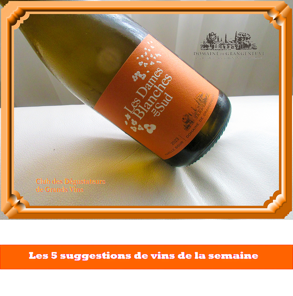 .
Le nom de ce #vin "Les Dames blanches du Sud" réfère aux cépages blancs distinctifs de la vallée du Rhône et celui-ci en possède 4 dans son assemblage. Cette cuvée fait partie des 5 #vins que je vous invite à essayer cette semaine (21,90$ dans 27 succursales). 𝐕𝐨𝐲𝐞𝐳-𝐥𝐞𝐬