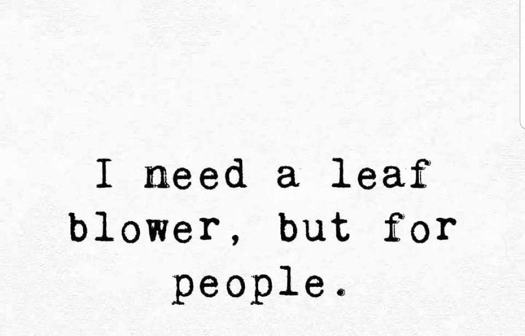 realbobandbrad's tweet image. Some days, you just need to clear out the negativity and bad posture energy 😂

Until someone invents that… we’ve got the next best thing: a massage gun, an eye massager, and a little self-care time. 🌀💆‍♂️

#BobAndBrad #MassageTherapy #SelfCareHumor #PhysicalTherapy #MondayMood