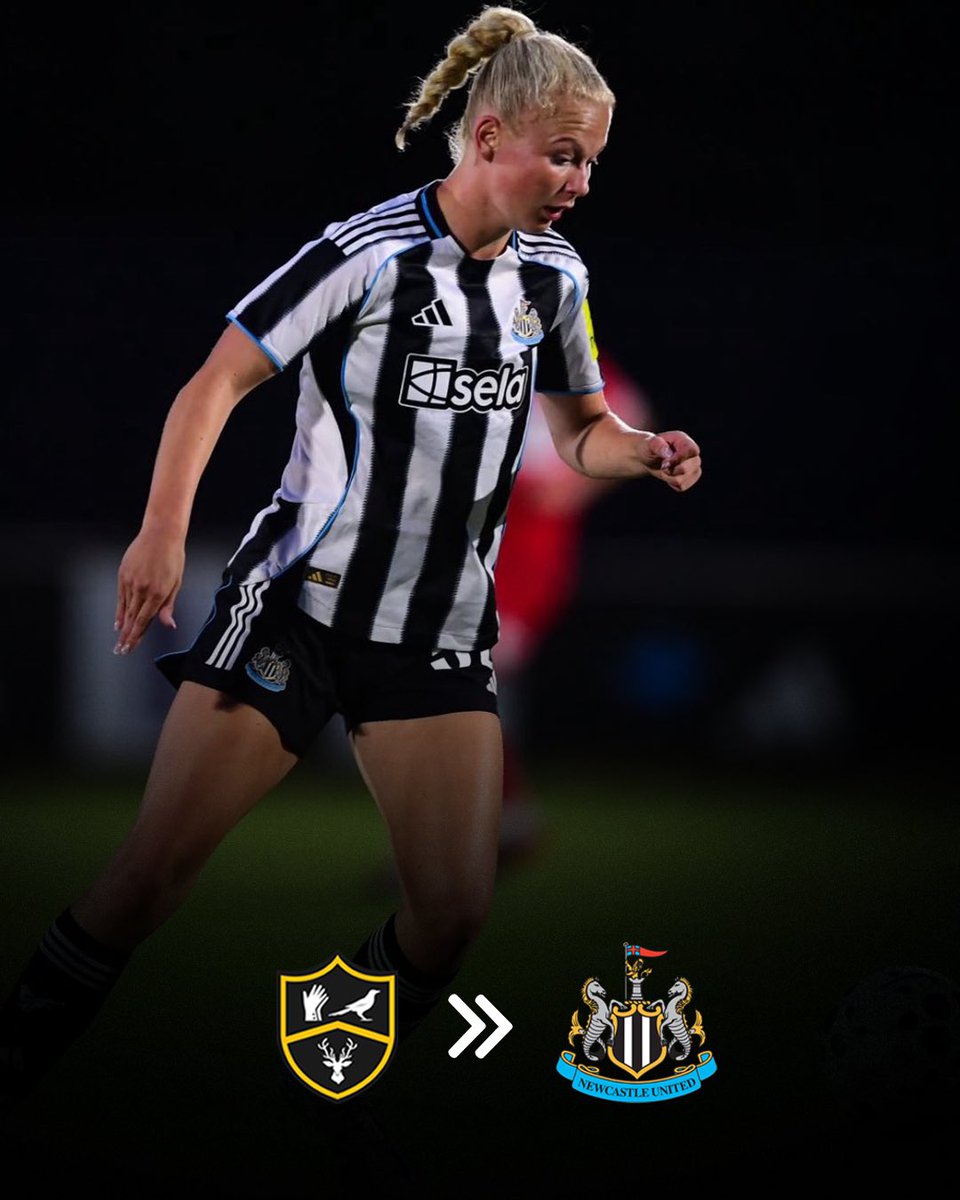 Park View Academy of Sport tweet media