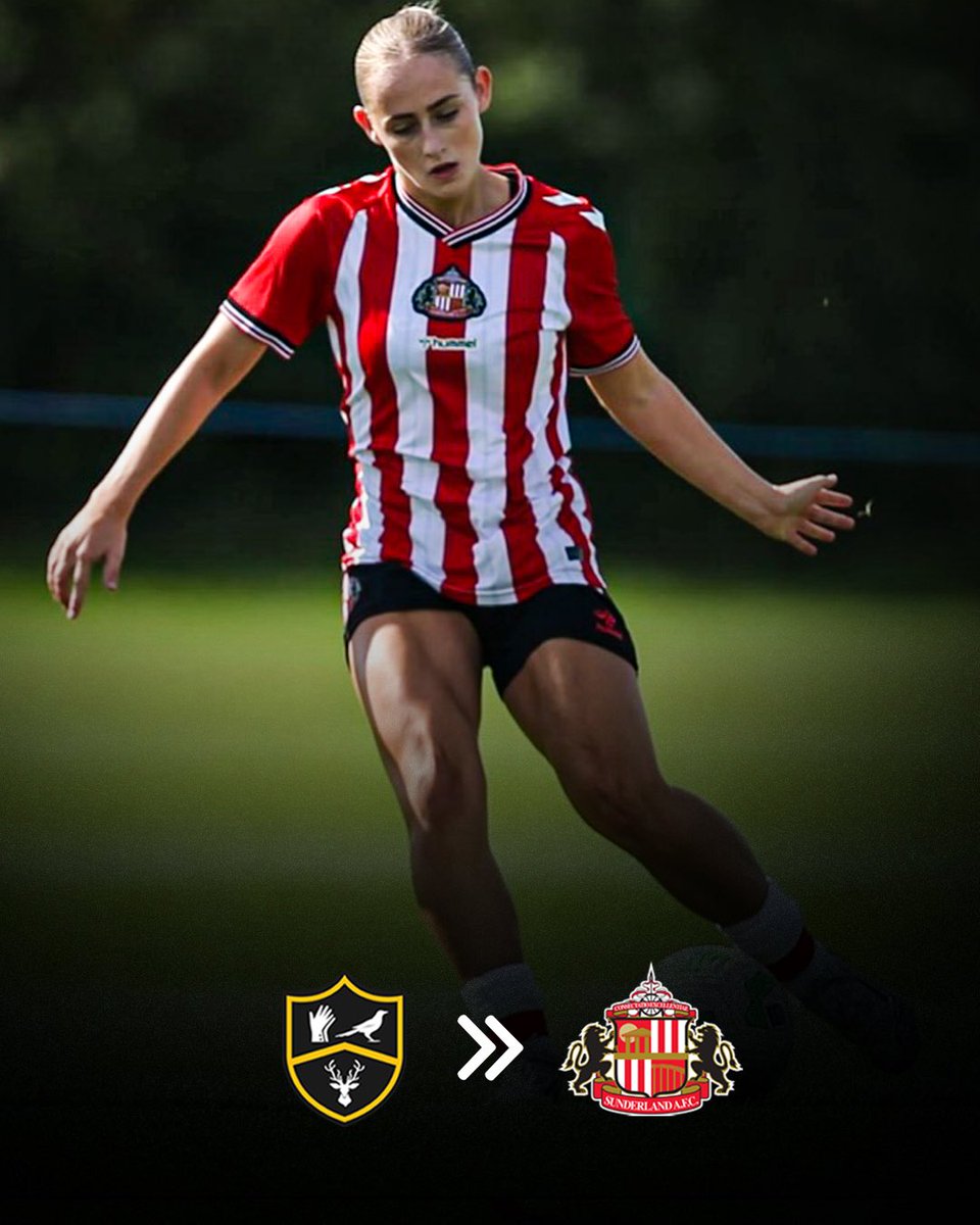 Park View Academy of Sport tweet media