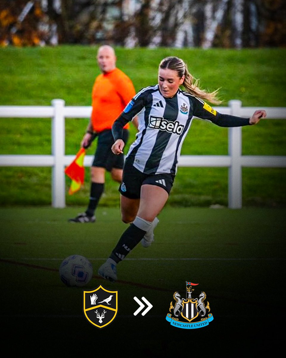 Park View Academy of Sport tweet media