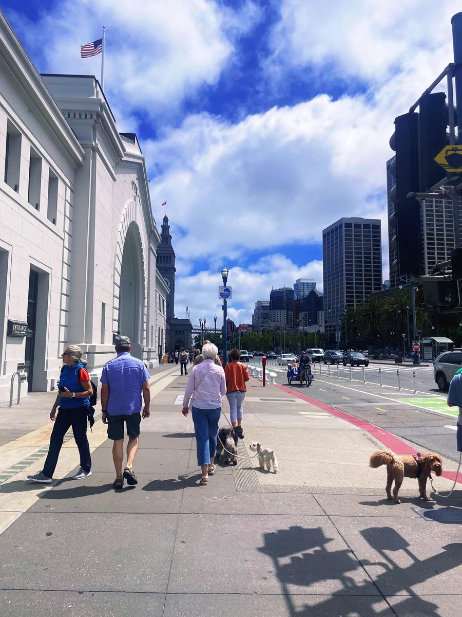 StYouthDirector's tweet photo. The weather is very good today, very suitable for shopping and walking https://t.co/TwWWMG6gLq