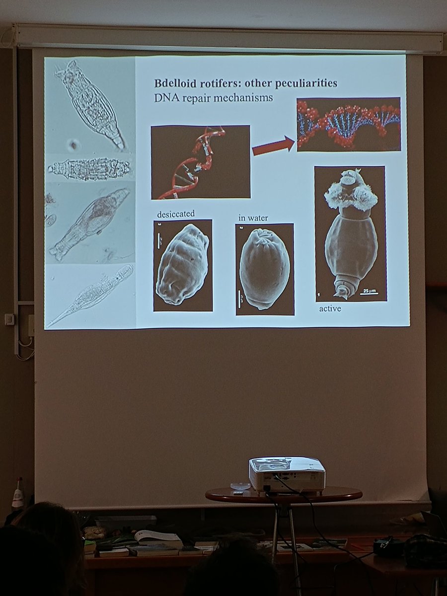 lteritaly's tweet image. #Rotifer's night in Collelongo, #Abruzzo, #Italy at the transdisciplinary residency #RiViVe- rethinking the diversity of life with Diego Fontaneto

#biodiversity
