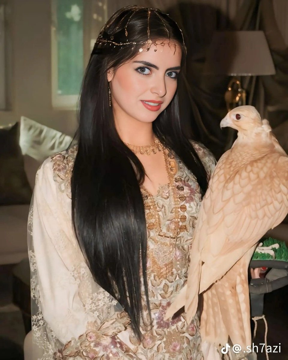 شرايكم بالصورة؟