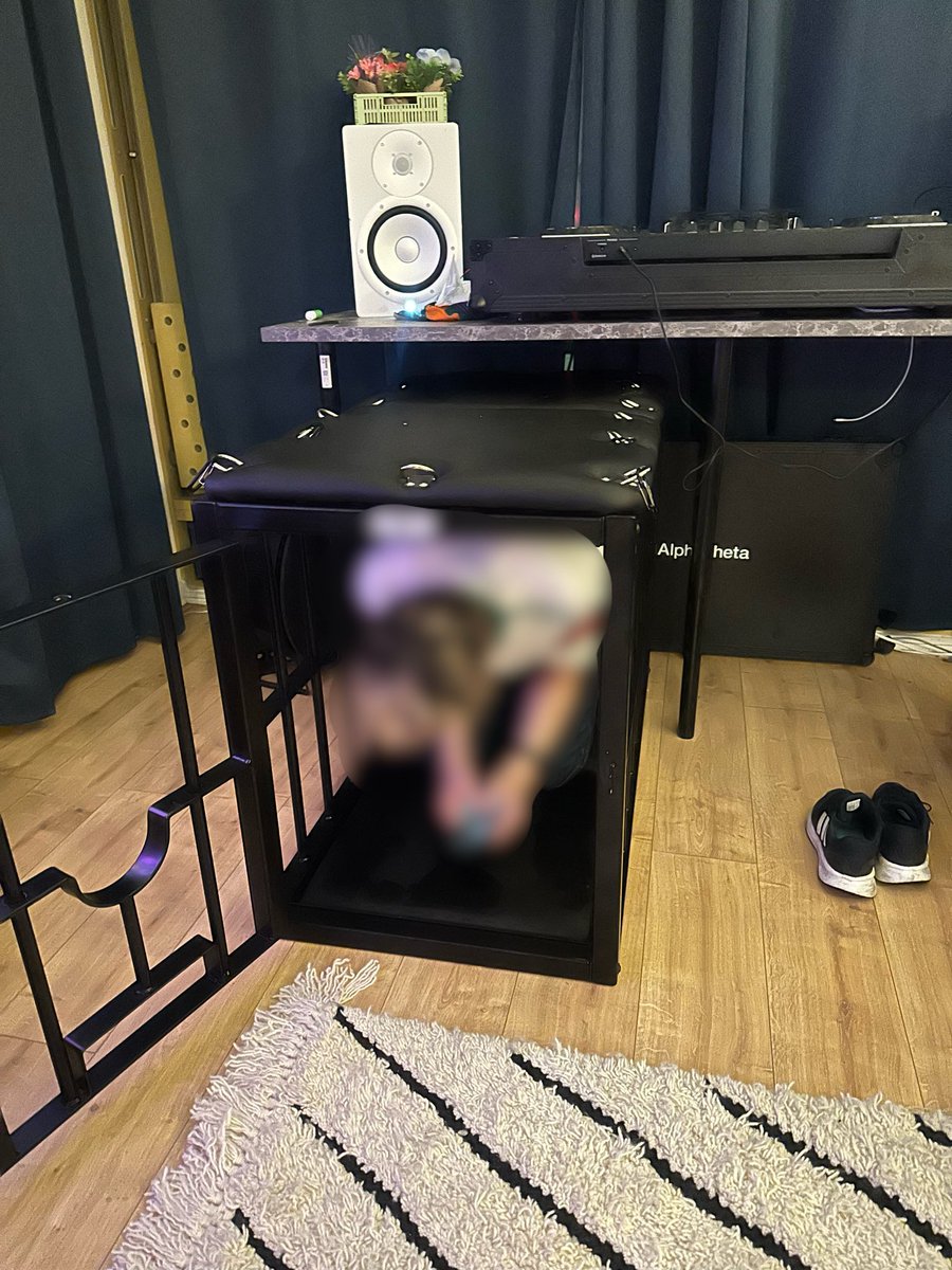 pulse_kink's tweet photo. Feast your eyes on my new depraved cage for taming boys! 😈 Crafted from merciless steel. Built to trap, torment, and break the naughtiest fags https://t.co/nDgqgD1rNe