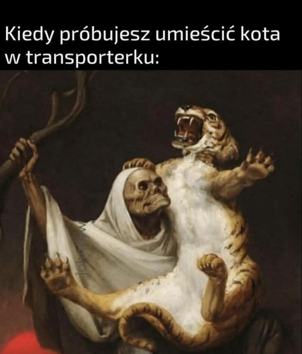 ja_zabecka's tweet photo. Historia prawdziwa. Za każdym razem rany, krzyki i kocie wzywanie pomocy.
#Lunka https://t.co/aUB6CSf21s