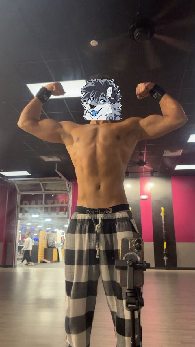 Puffuls 🔜 AC tweet media