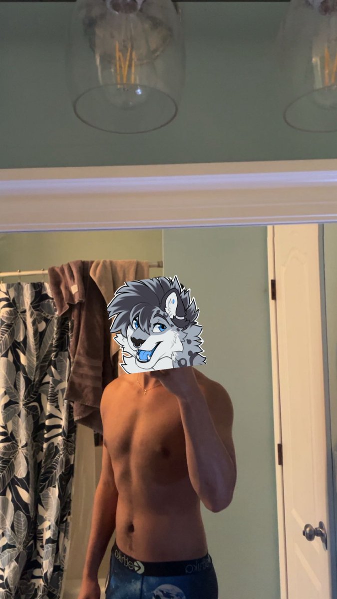 Puffuls 🔜 AC tweet media