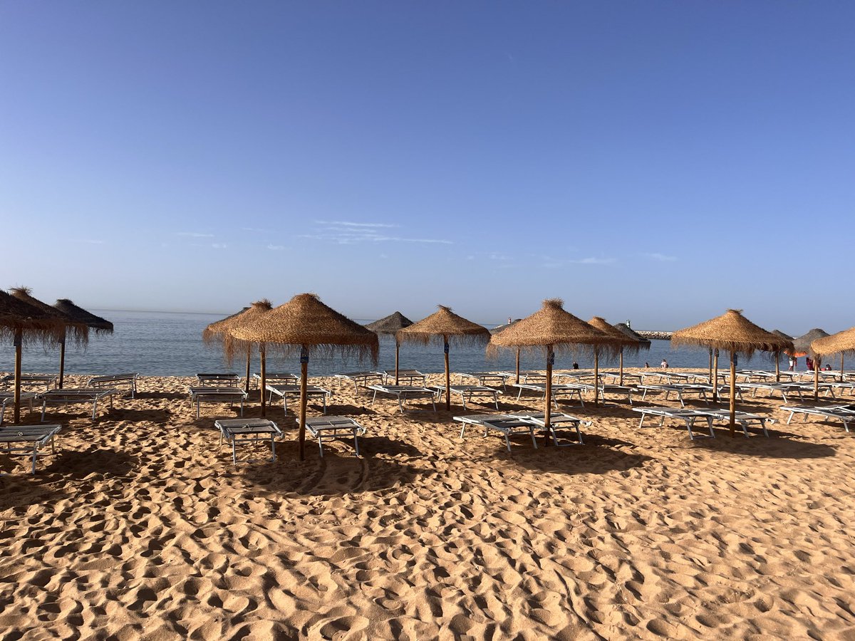 🌟 Rae Trickett 🌟 tweet media