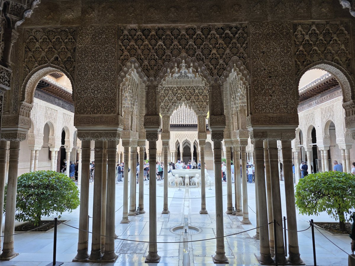 Fernand Bteich, MD, MS tweet media