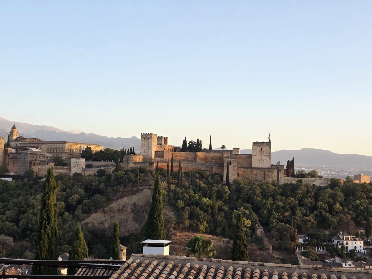 Fernand Bteich, MD, MS tweet media