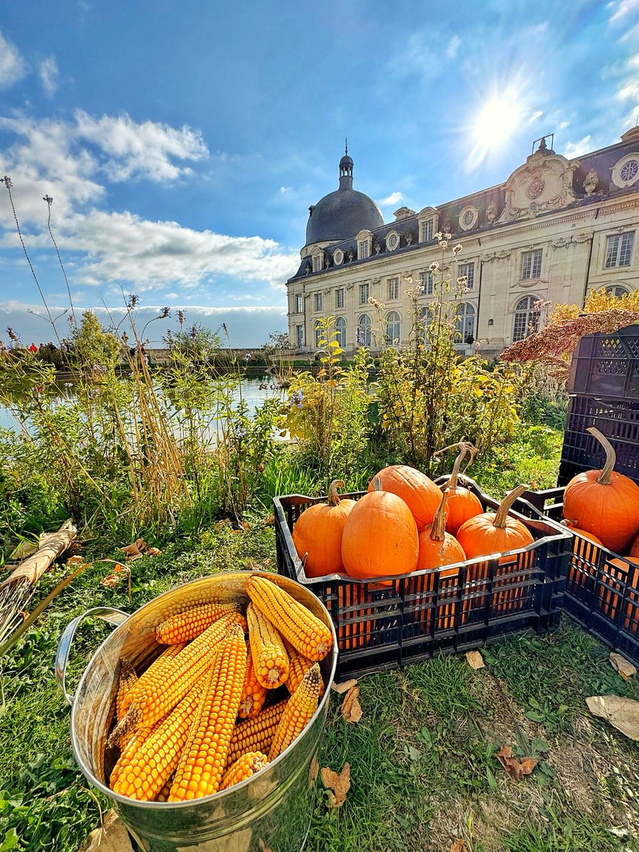 🔴 𝗛𝗔𝗕𝗜𝗧 𝗗'𝗔𝗨𝗧𝗢𝗠𝗡𝗘 🍂🍁 | La cour d’honneur, le jardin français et le grand escalier se parent de leurs plus beaux atours pour la saison automnale ! 🍂👏 #Valencay

Merci à Pétales (fleurs en Berry) pour ces superbes décorations ! ✨🍁
🌐 bit.ly/AgendaValencay