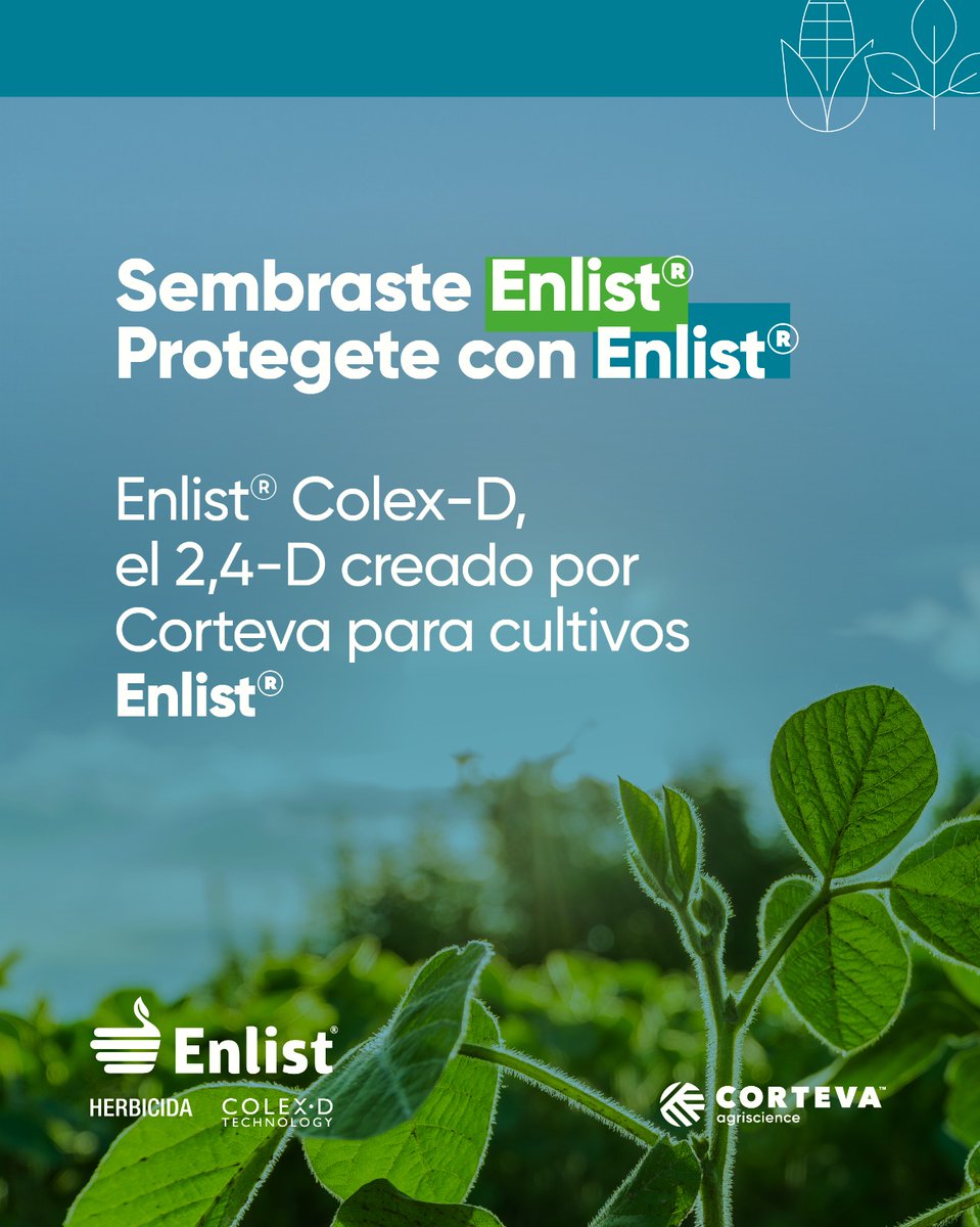 Una buena estrategia empieza por saber cuándo y cómo proteger tus cultivos. 🌱Para tus cultivos Enlist, utiliza Enlist Colex-D, el único 2,4-D con respaldo Corteva.