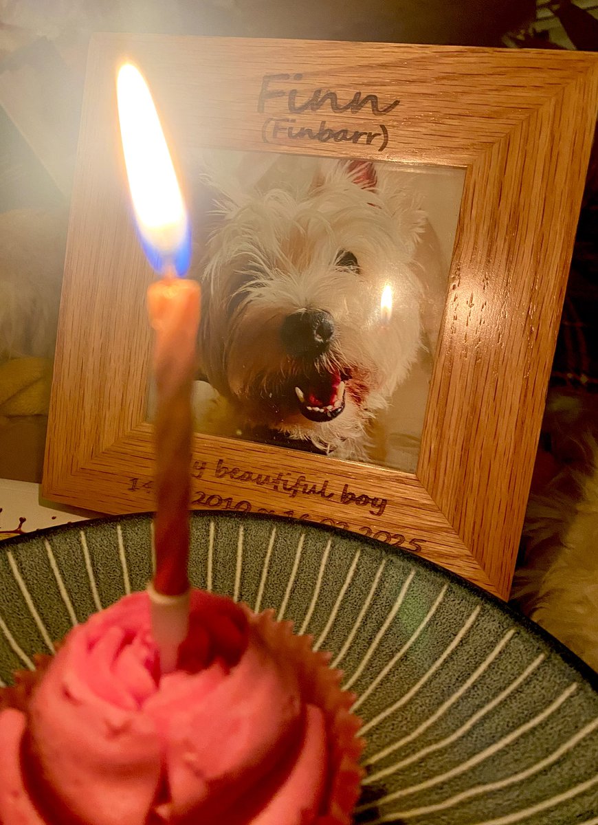 Happy Heavenly Birthday Finn. I miss you baby. #BirthdayBoy #AngelBirthday