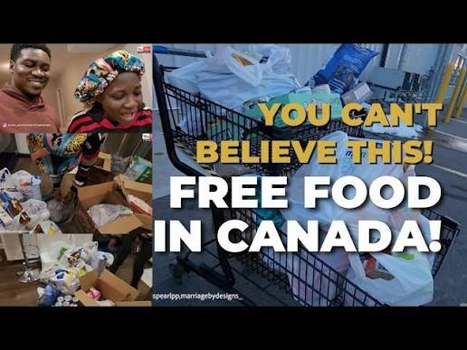 <a href="/ryangerritsen/">Ryan Gerritsen🇨🇦🇳🇱</a> How many food bank users are people who would just rather not pay for food?