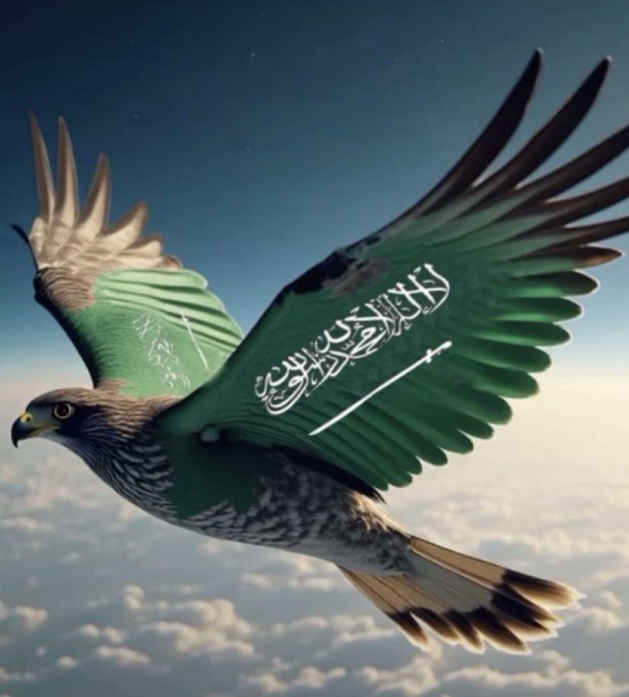 الحمدلله دائماً وأبداً ..
ألف مبروك سمو سيدي #ولي_العهد 
مبرووووووووك يا وطططن ..
صقورناااااا يكتبووون التاااااريخ ..
#الأخضر_السعودي إلى #مونديال_2026 
مبروووك يا أغلى ششششعااار 👏😭🇸🇦💚
#السعودية_العراق | #تصفيات_كأس_العالم2026 
#المنتخب_السعودي | #معاك_يالأخضر