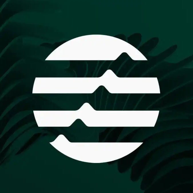 The Wolf Of All Streets tweet media