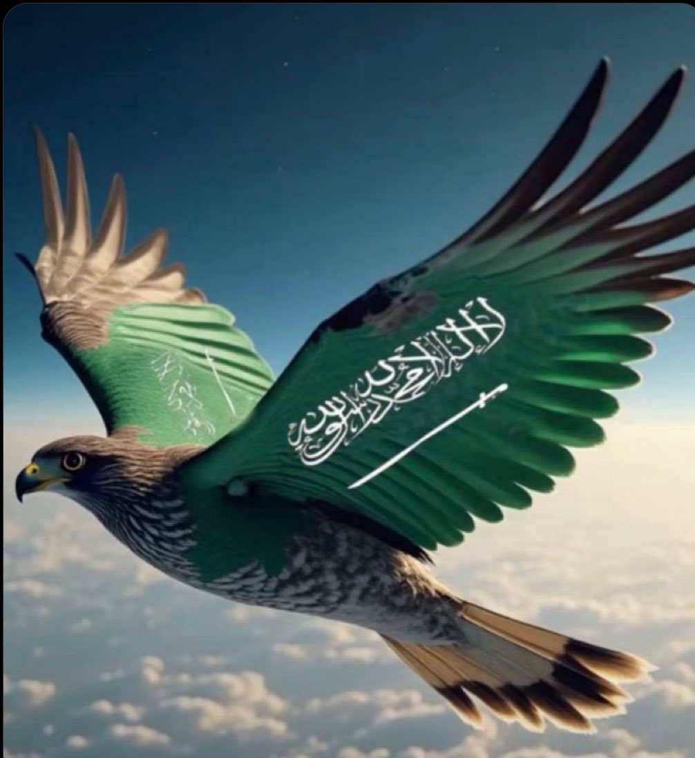 ألف ألف مبروك للوطن