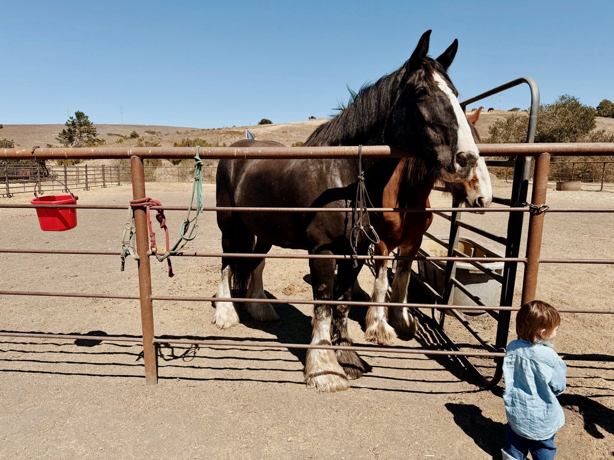 Our sweet boy Ravi turned 2! It’s hard to put into words just how much joy he’s brought to our lives. ❤️
