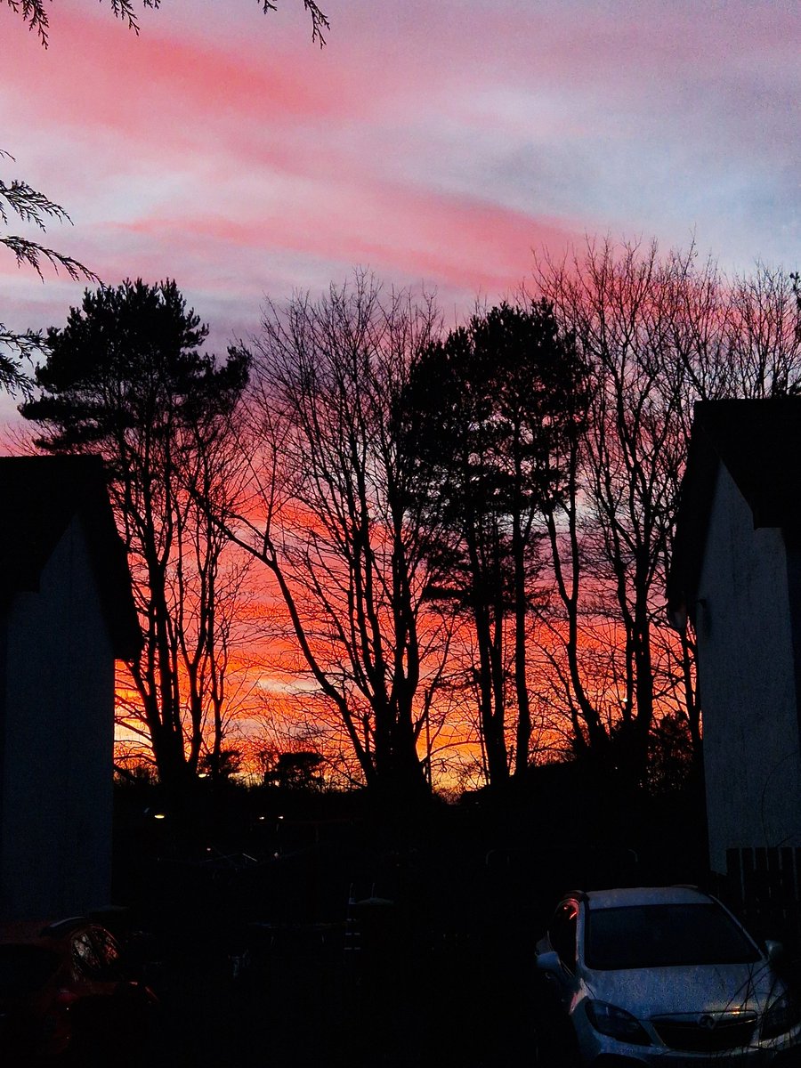 lookitscharr's tweet image. will forever be a "look how pretty the sky is" girlie 🌅