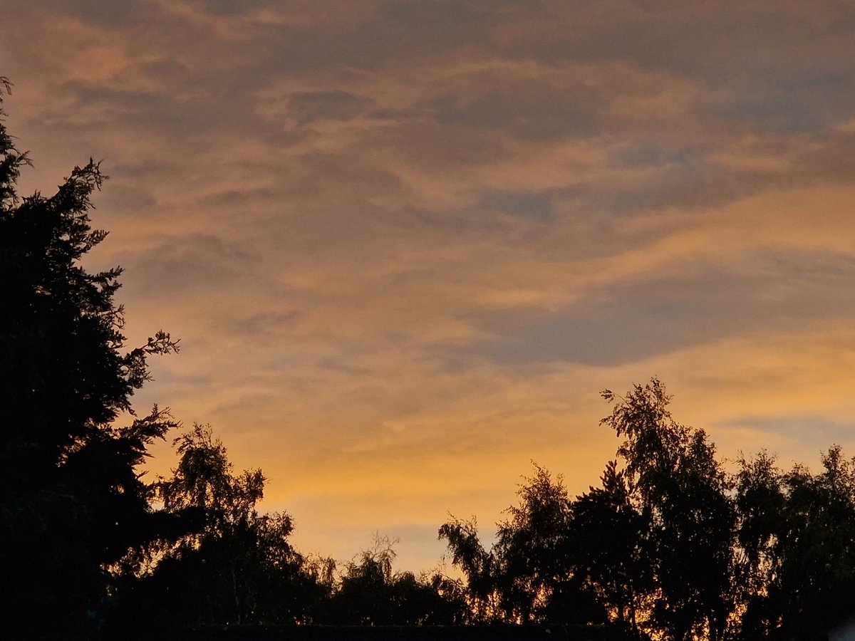 lookitscharr's tweet image. will forever be a "look how pretty the sky is" girlie 🌅