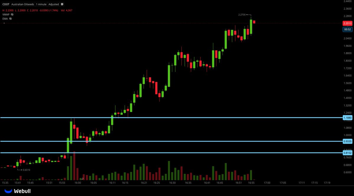 🐅hassytrades tweet media