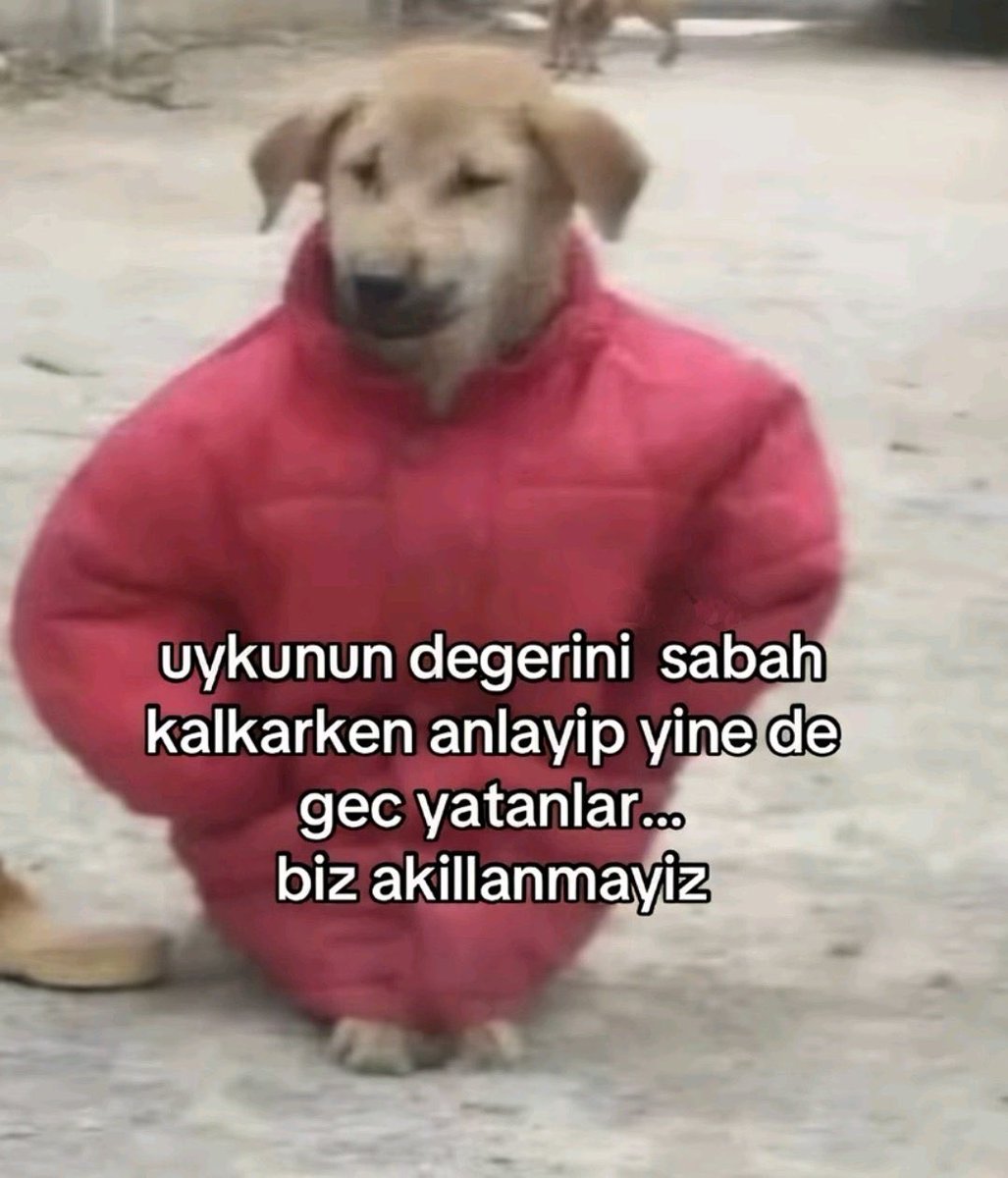 tamer aydın (@aydintamerr1) on Twitter photo 