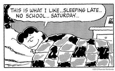 gatoscript's tweet image. faltei duas aulas hoje pra dormir