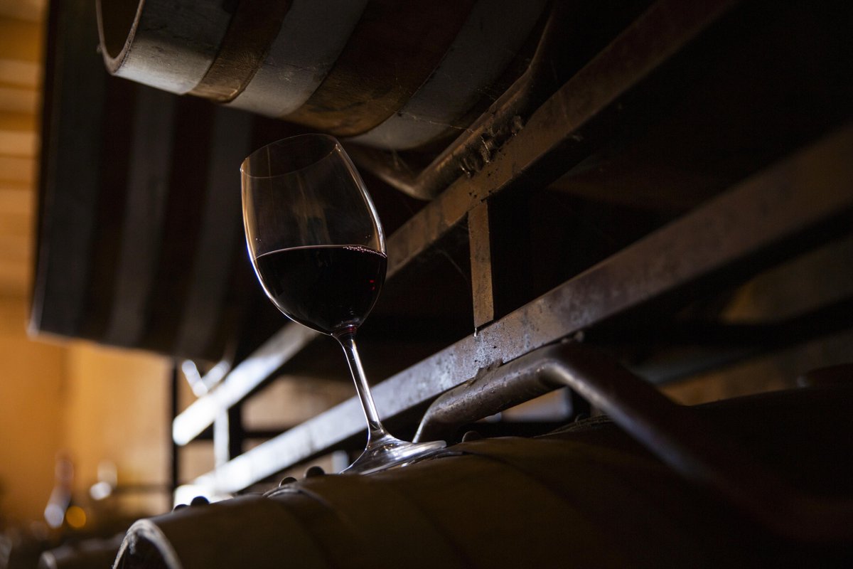 CavesBohigas's tweet photo. La temporada dels vins negres ja ha arribat i a Bohigas te n'oferim dos:
🍷  Bohigas Garnatxa Negra. 100% garnatxa negra
🍷  Inicis de Bohigas. 100% sumoll

Ja els has tastat? 🍇
+ info: https://t.co/3bj4NhJWwR 

#bohigas #vinsbohigas #garnatxanegra #sumoll #celler #bodega #odena https://t.co/MKmEKenEac
