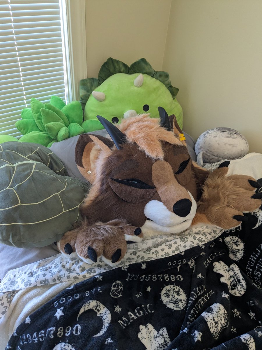 shh.. he's resting after his long journey..