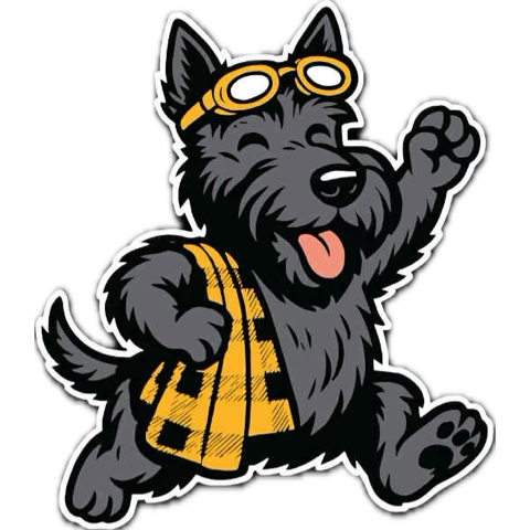boilerjoanne's tweet photo. @WoosterSports @wooswimdive https://t.co/nIHodZtu2o