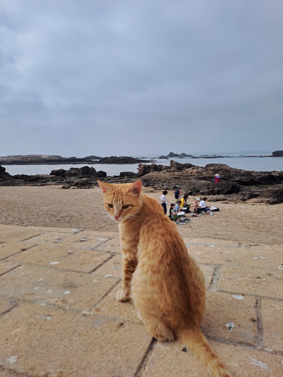 Essaouira è una città del Marocco affacciata sull'Atlantico. Qui hanno vissuto: Jimi Hendrix, Bob Marley e Frank Zappa. Inutile sottolineare la qualità della cucina locale!!!