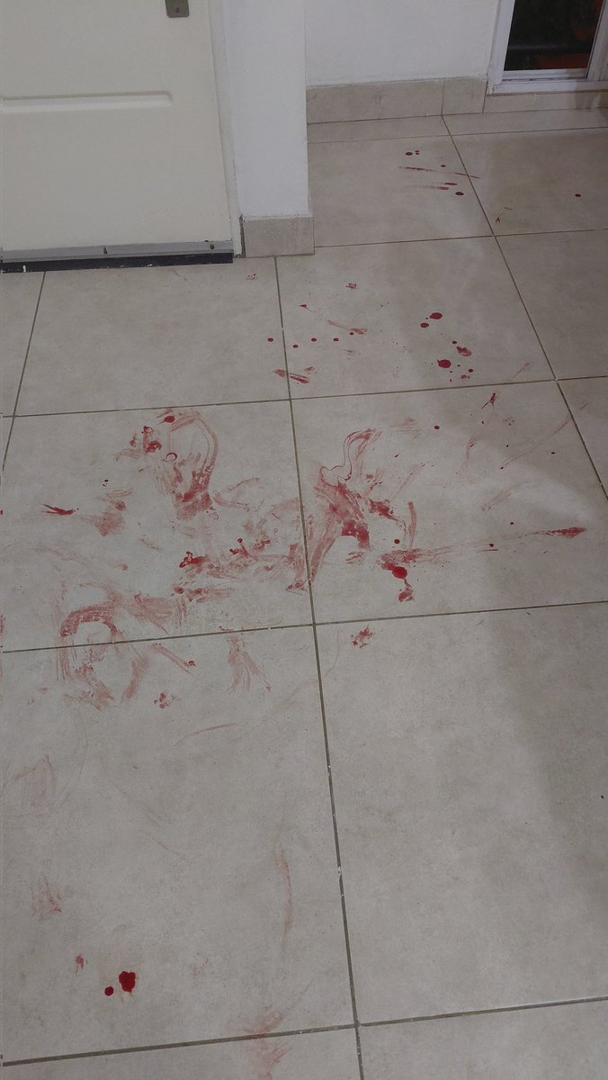 natsujas's tweet image. Hola, no me gusta hacer esto pero no tenemos la plata para costear todo.
Ayer llegamos a casa tipo 20hs y encontramos a nuestro gato actuando raro pero no sabiamos que era, no paraba de maullar, cuando lo vamos a ver y lo levantamos empieza a sangrar sin parar desde la panza... +