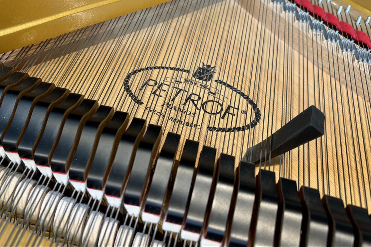 GoPianoTuning's tweet photo. A grand day out today. A lovely Petrof, a stunning C3X Yamaha, and the mighty model D Steinway https://t.co/pdcjLm2I7v