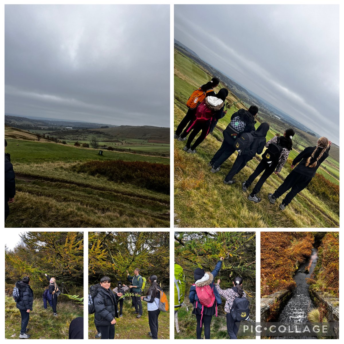 MarshfieldPS's tweet photo. Year 6 children had a wonderful well-being trip to Ogden Water today. They enjoyed spending time in nature, taking part in a relaxing sound bath in the woods, and learning all about the different types of trees and wildlife #CarltonEdge #CarltonCares 🌲🍁🍂 https://t.co/CoL1QiL9l8