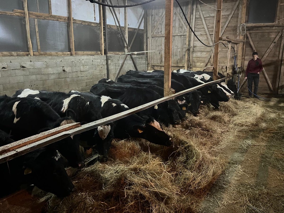 Bóthar Charity Ireland tweet media