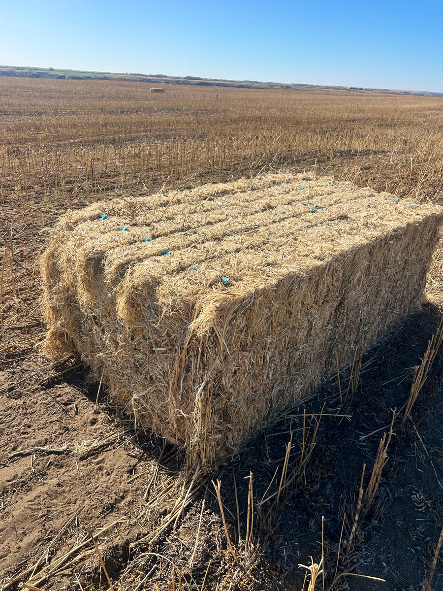 cjquaschnick tweet media