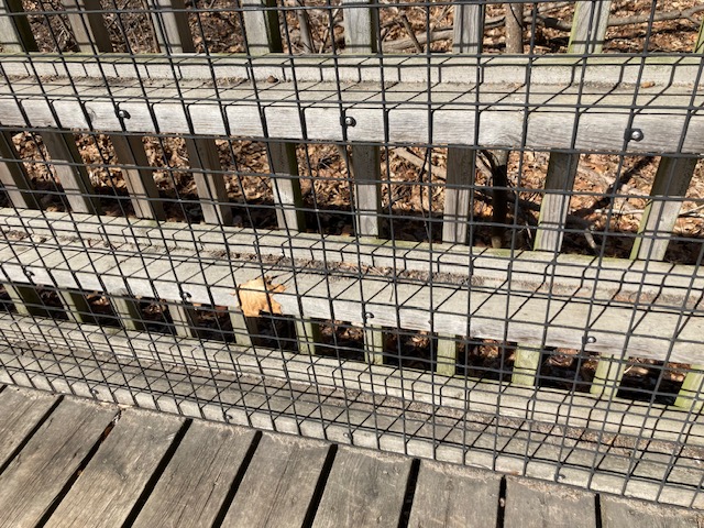 FerrierWire's tweet photo. Ferrier Wire + Design Metals black PVC 2” x 2” x 12.5 ga weldmesh used for numerous projects across southern Ontario including railing infill panels at a conservation area. 1/2" x 1/2" and 1" x 1" also available. Made in Italy and designed for outdoor use as well as marine use. https://t.co/1hBEJFmtAl