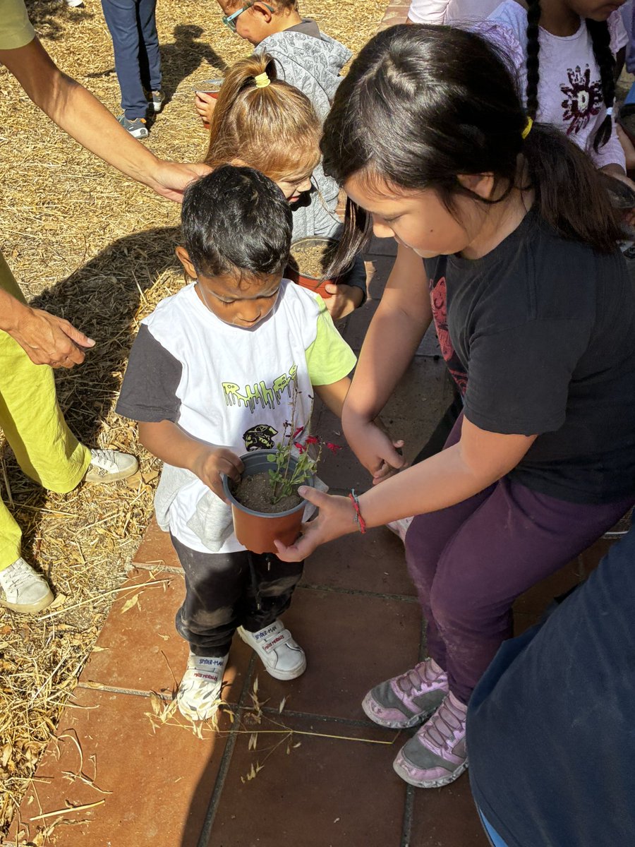 En nuestro huerto no hay agua en el pozo. Nos ha explicado Raúl que esto es por culpa de la sequía y nos ha propuesta sembrar nuestras plantas en macetas hasta que podamos ir al huerto. ¡Qué buen ratito! #somosunapiña