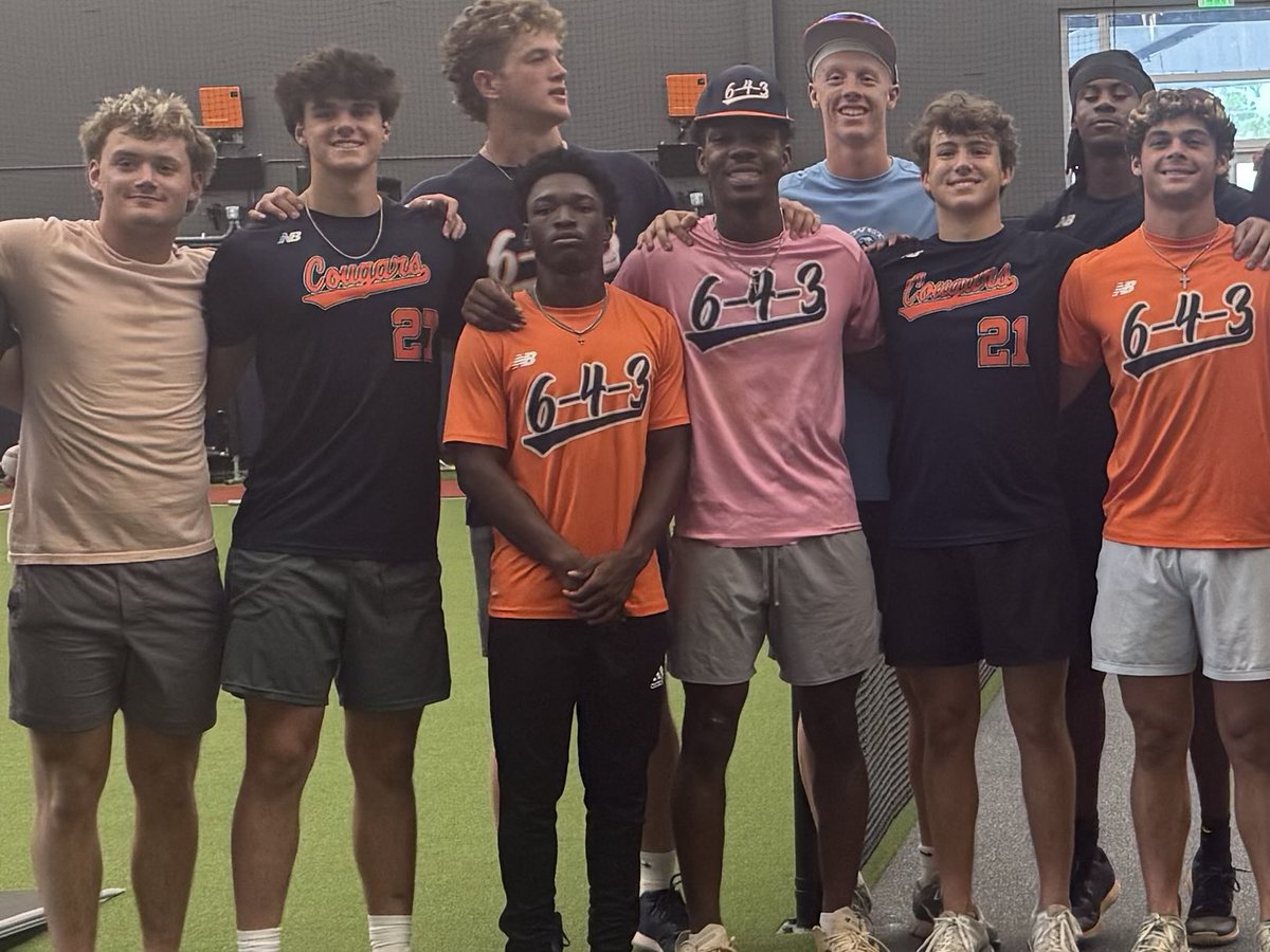 CHS Lions Baseball tweet media