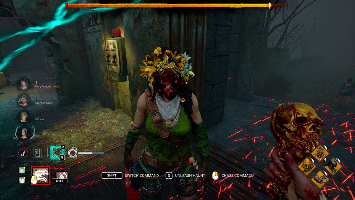 itkoi's tweet photo. this bug is fucking horrifying https://t.co/DBlUlw0ut3