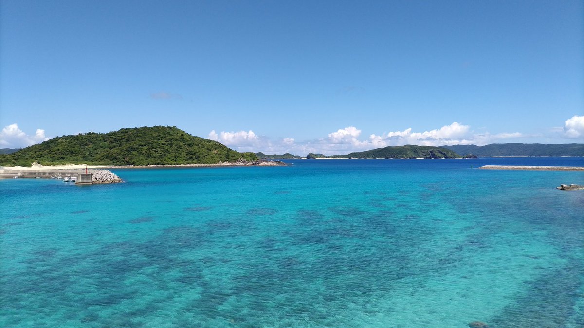 みがし tweet media