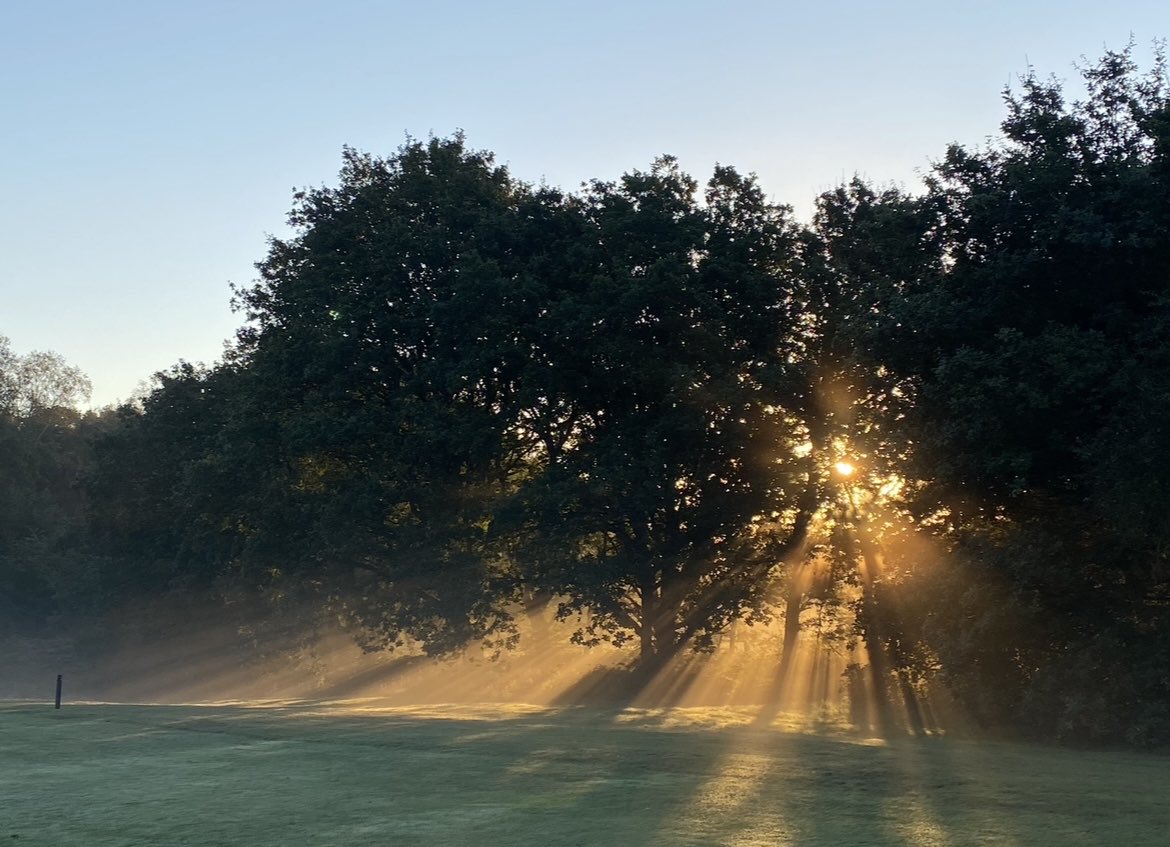 GolfGeek6's tweet image. Autumn is here. 

Nothings easy atm with the dreaded leaf drop causing havoc for golfers and turfies alike. Fabulous to see so many ahead of the curve producing wonderful playing surfaces. 

However, those Mild and muggy conditions keeping everyone on their toes 🌱