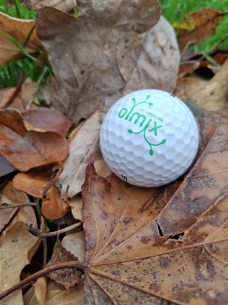 GolfGeek6's tweet image. Autumn is here. 

Nothings easy atm with the dreaded leaf drop causing havoc for golfers and turfies alike. Fabulous to see so many ahead of the curve producing wonderful playing surfaces. 

However, those Mild and muggy conditions keeping everyone on their toes 🌱