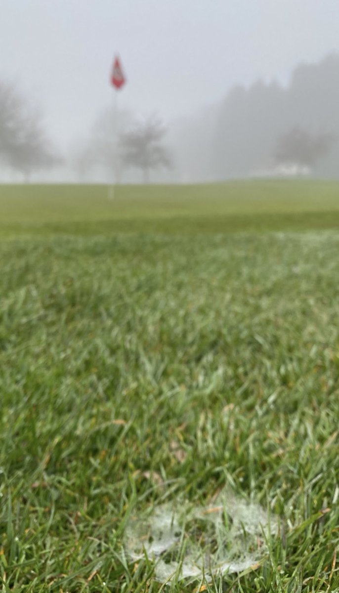 GolfGeek6's tweet image. Autumn is here. 

Nothings easy atm with the dreaded leaf drop causing havoc for golfers and turfies alike. Fabulous to see so many ahead of the curve producing wonderful playing surfaces. 

However, those Mild and muggy conditions keeping everyone on their toes 🌱