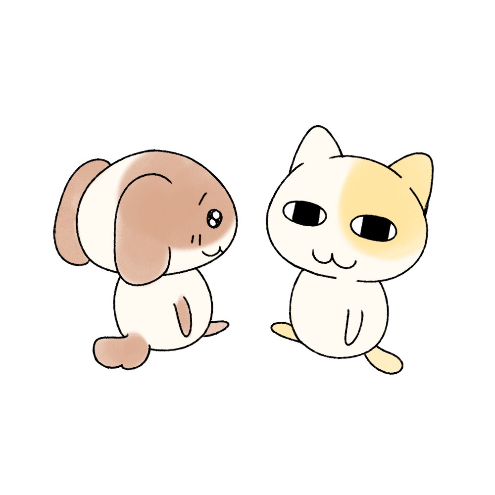 묘냥이와 멍구 (@myo_n_meong) on Twitter photo 
