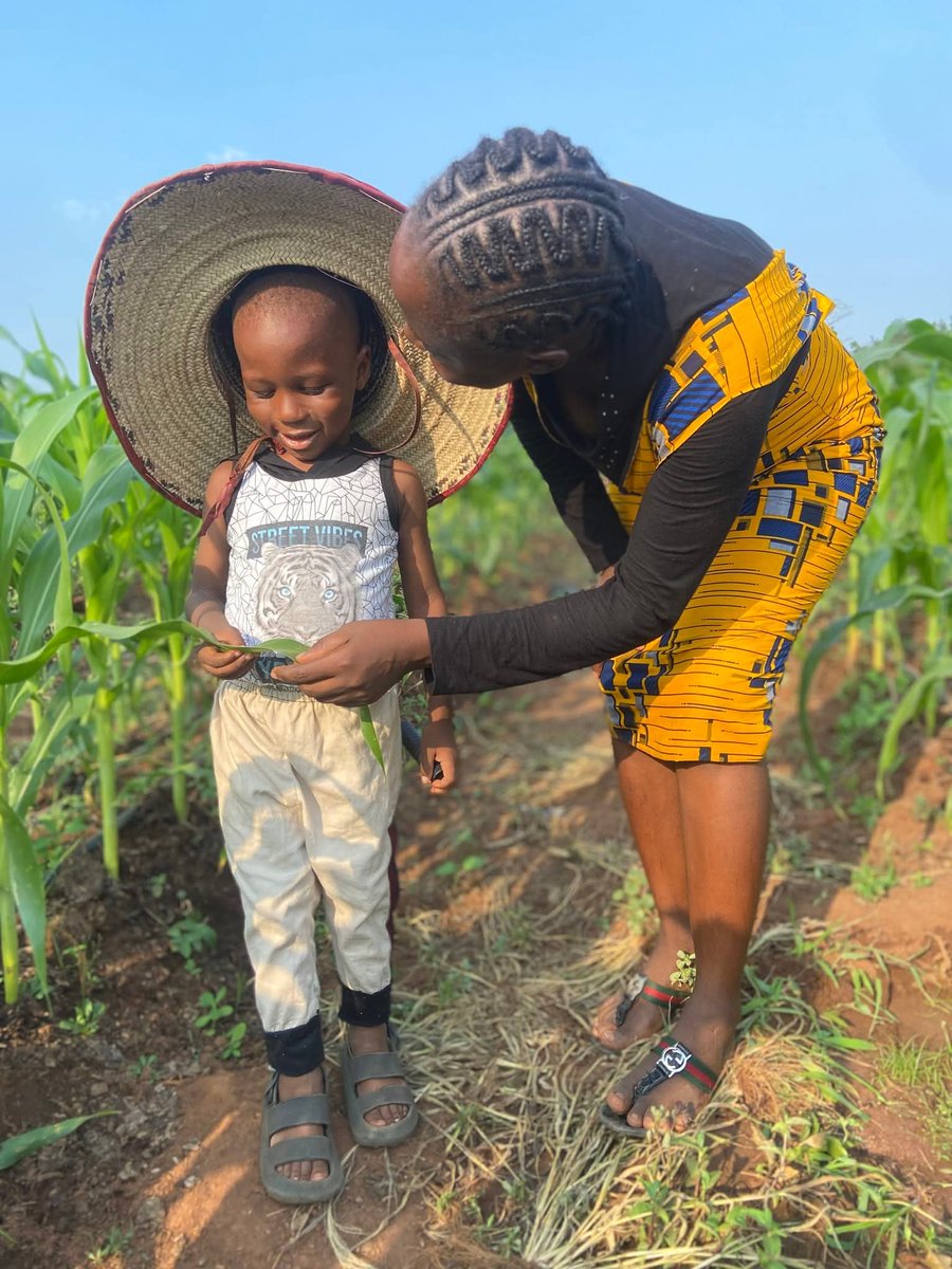Ifeanyichu1997's tweet photo. Agriculture is life 

Good Practical Leadership 

Helping generation Next... Children can now grow what they can eat with Agritechs https://t.co/5EvvSo5OB5