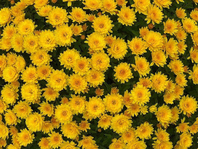Chudai_jav_GpCh's tweet image. The illusionist’s tricks relied on manipulating images, creating a captivating spectacle of visual trickery.
#ForPersonalDevelopment